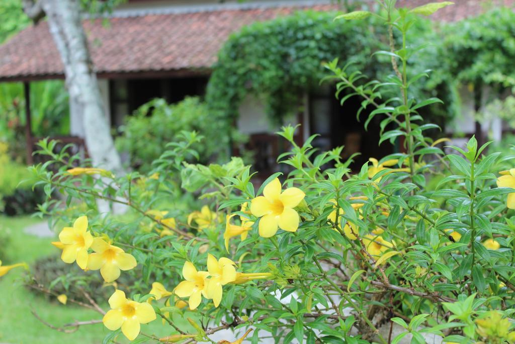 Margo Utomo Eco Resort Kalibaru Exterior foto