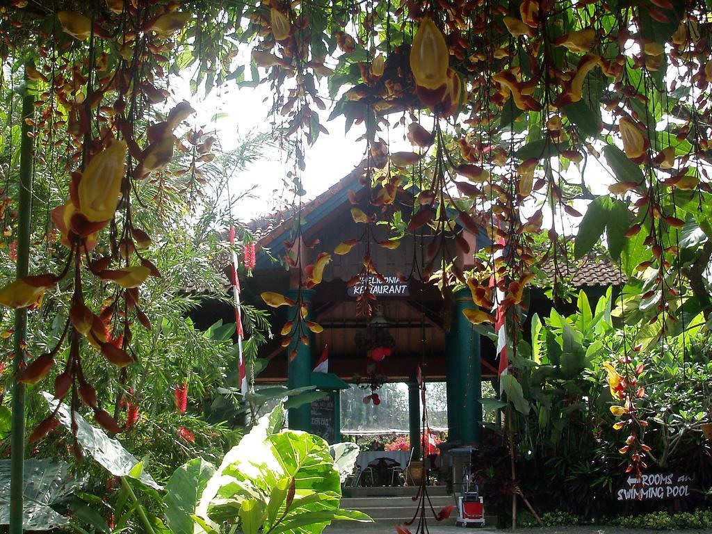 Margo Utomo Eco Resort Kalibaru Exterior foto